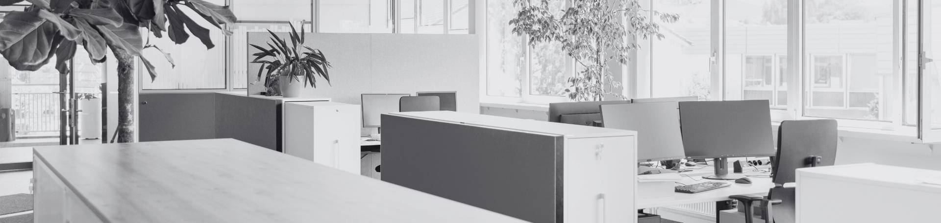 Schränke, Büro, Pflanzen